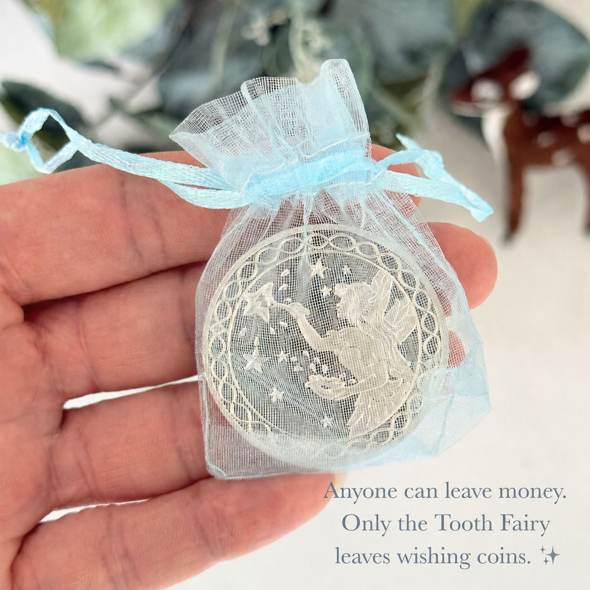Tooth Fairy Letter Kit (Blue)