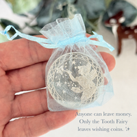 Tooth Fairy Letter Kit (Blue)