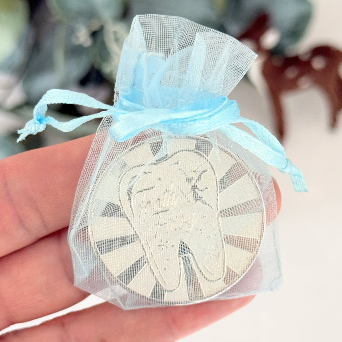 Tooth Fairy Letter Kit (Blue)
